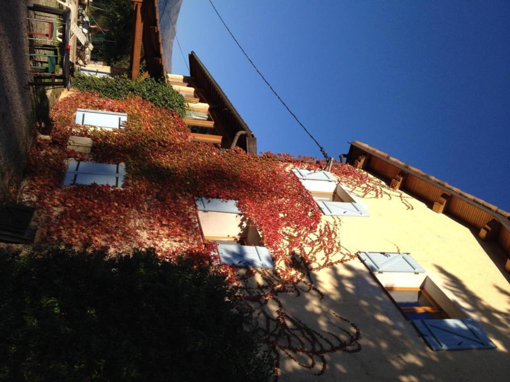 Le Mas Shabanou Bed and Breakfast Roquefort Les Pins Eksteriør billede
